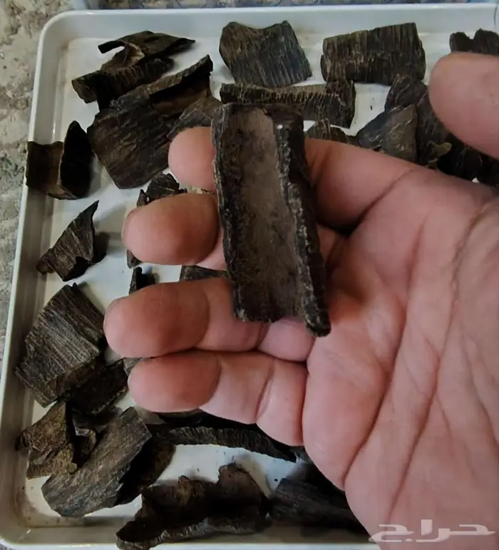 زوايا فيتنامي محسن فاخر 1