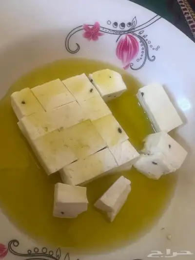 جبن غنم شرط خاثر غنم سمن زبده لبن لبنه مقدوس نوعين مفرزنات 4