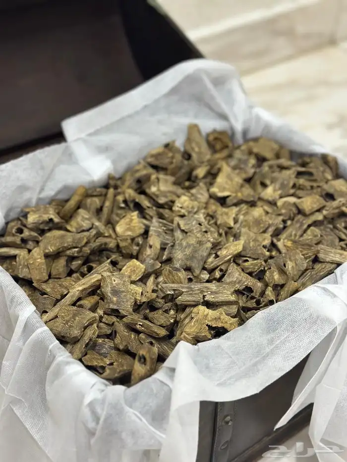 اعواد ودهون راقية 9