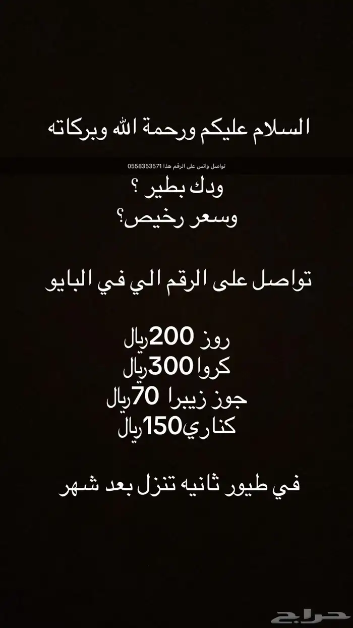فرخ روز كروان زيبرا 0