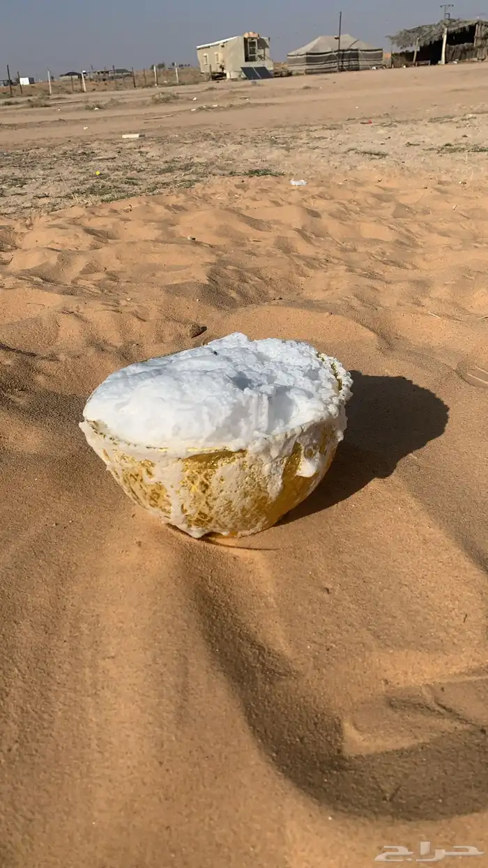 خلفه منيحه ( تم البيع ) 3