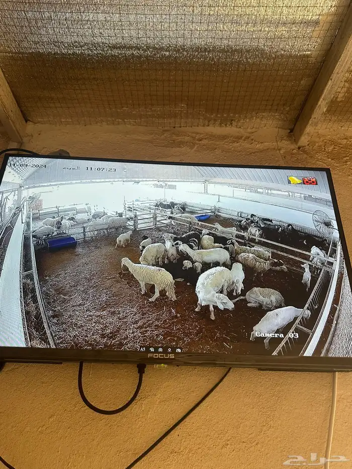 كاميرات مراقبة 8