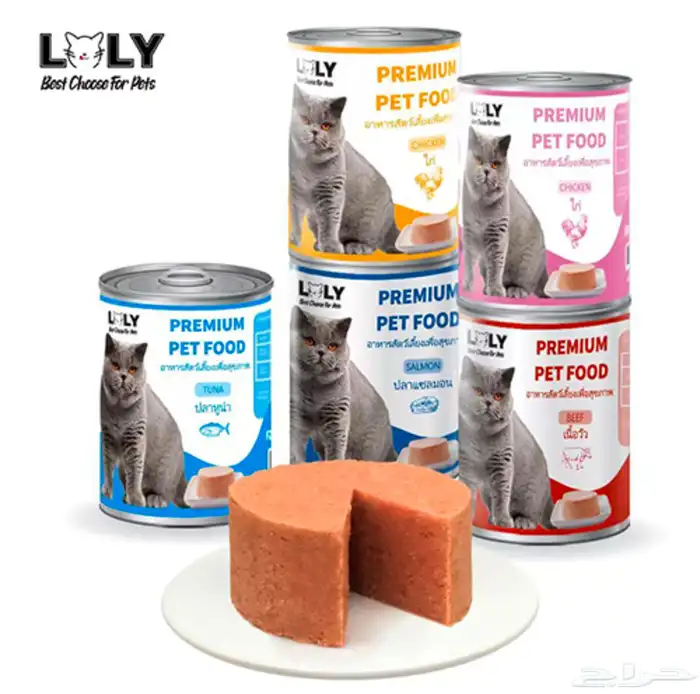 متجر مودي للحيوانات الاليفة Modi Birds 10