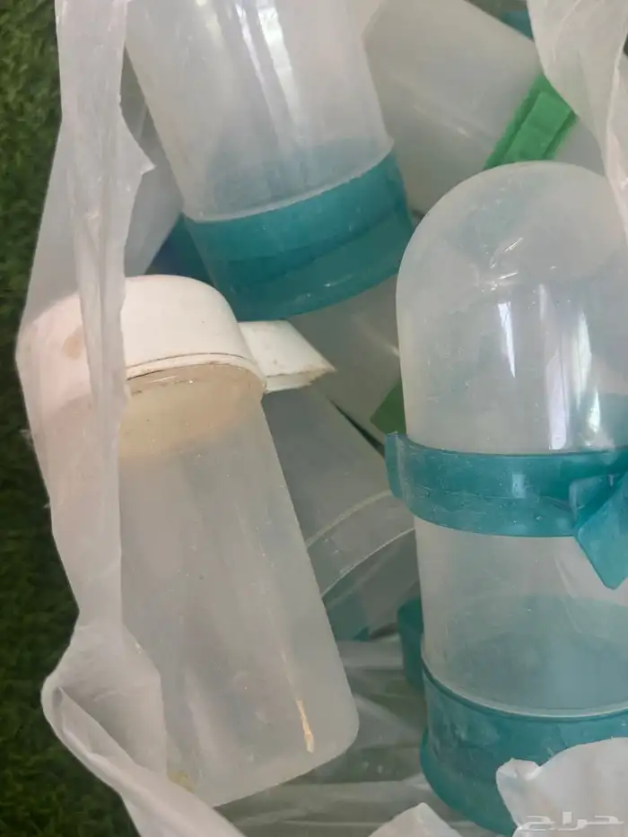 سقايات بغبغاء للبيع جمله او تفريد 2