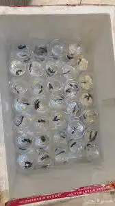 سمك زينه للبيع ب7 ريال 2