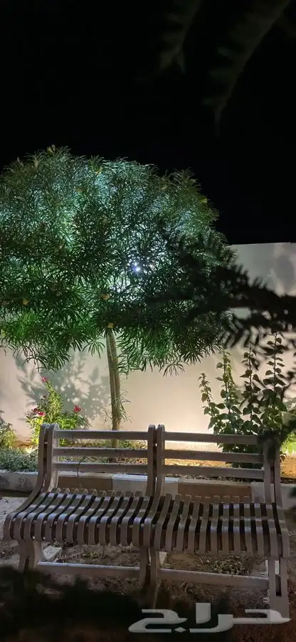 استراحه للايجار 4