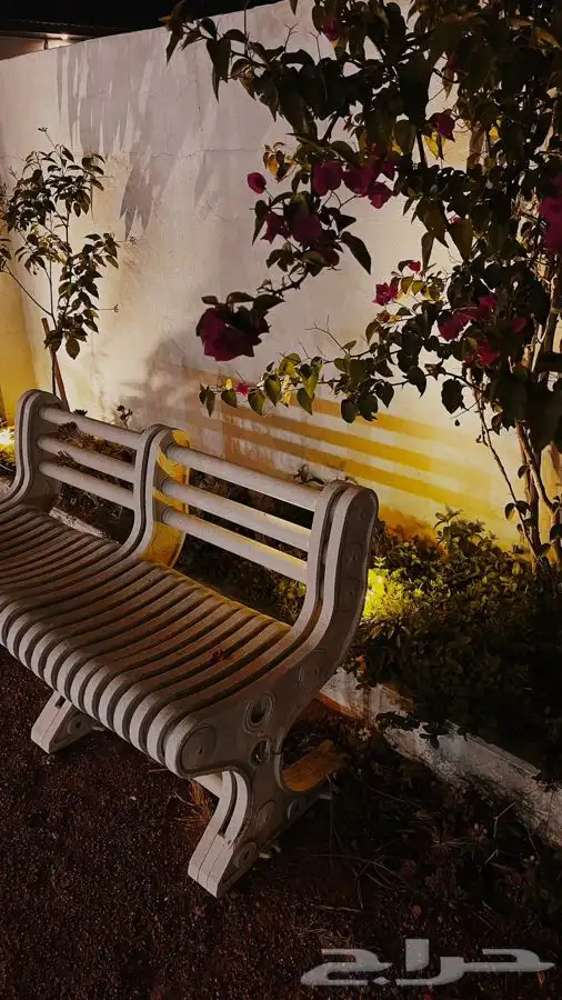 استراحه للايجار 7