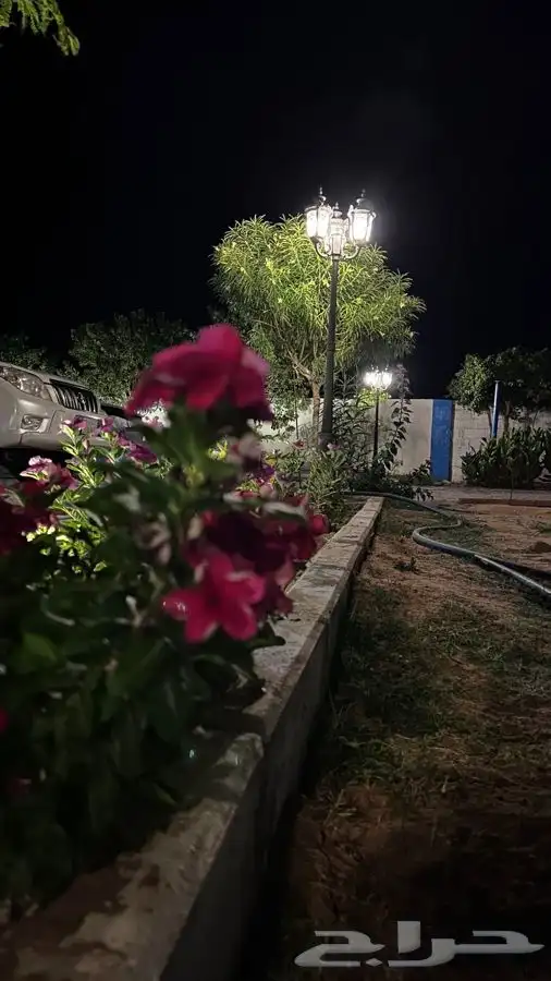 استراحه للايجار 2