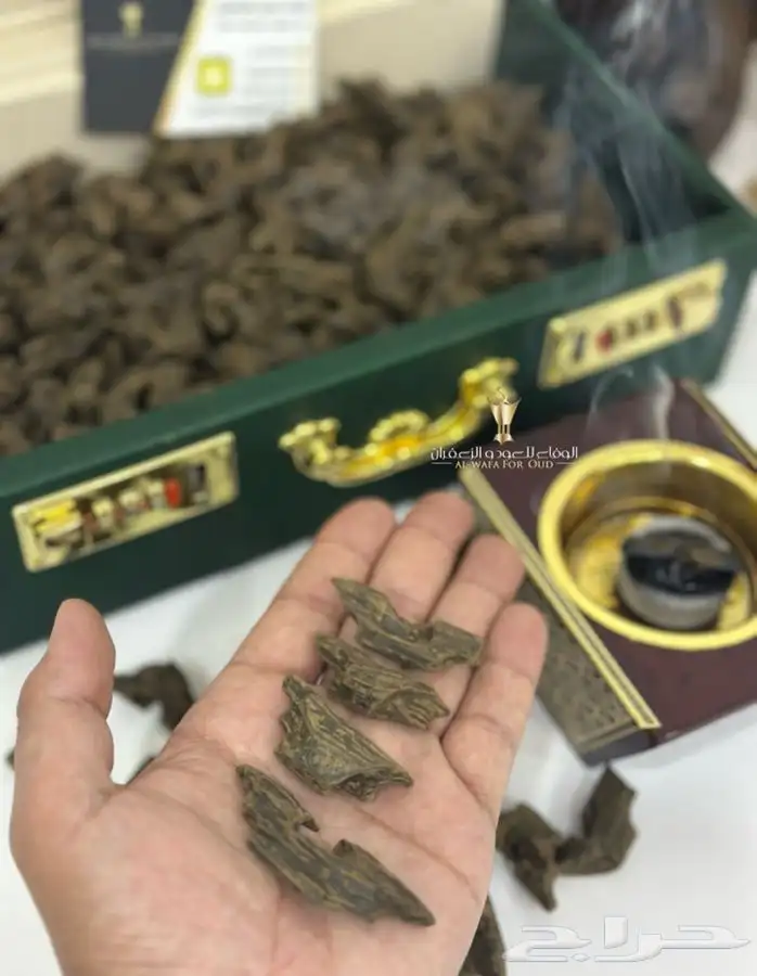 عود كلمنتان بنتلي سوبر فاخر 4