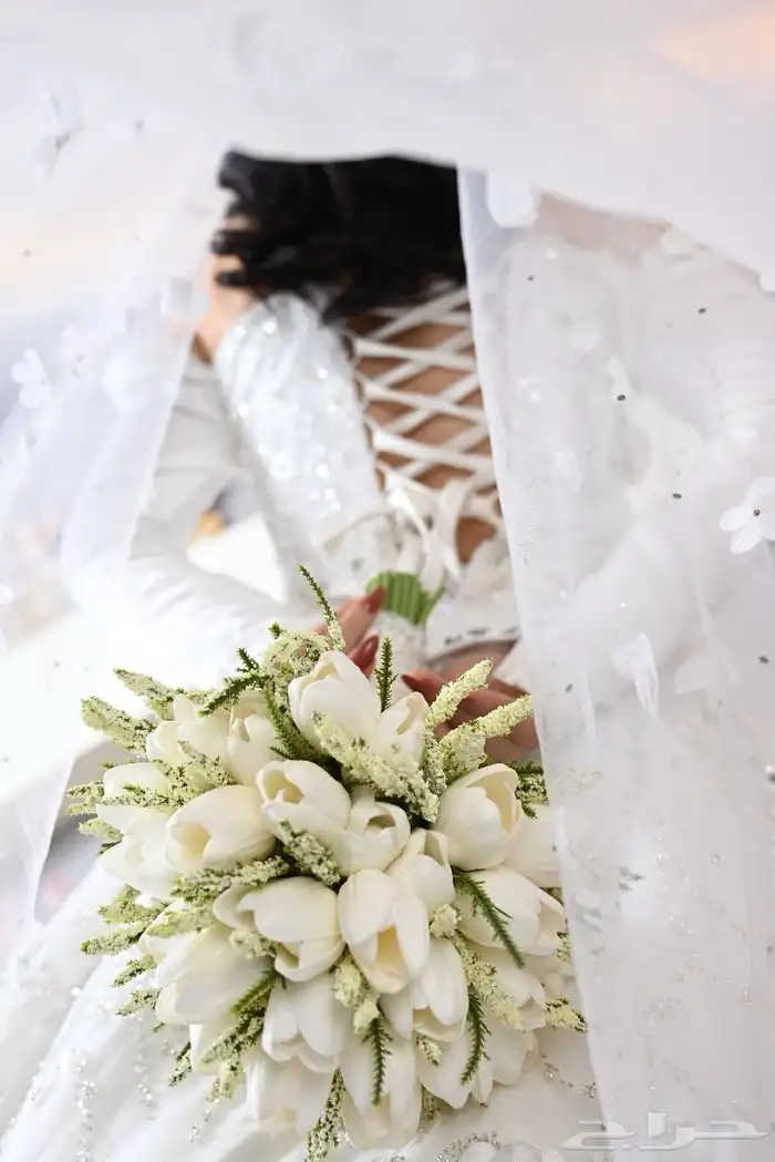 مصورة زواجات 0