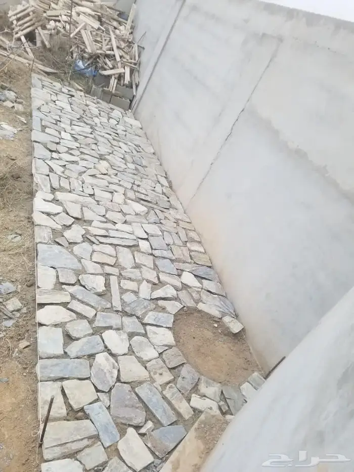 الباحة 0