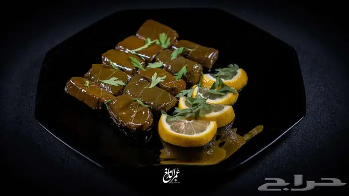 خدمات التصوير الجوية والاحترافية 23