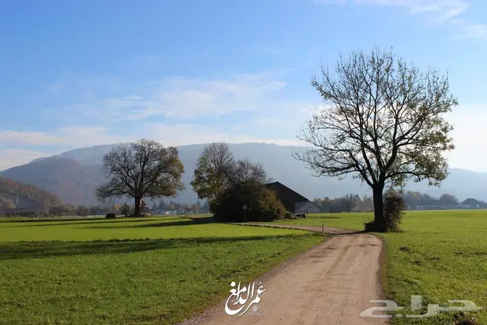 خدمات التصوير الجوية والاحترافية 66