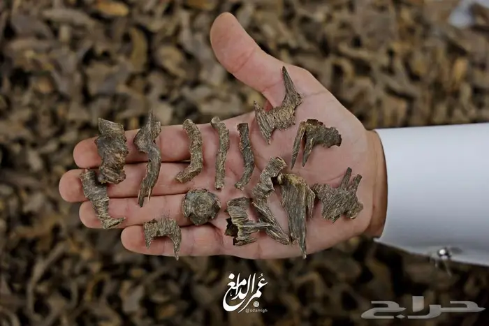 خدمات التصوير الجوية والاحترافية 6