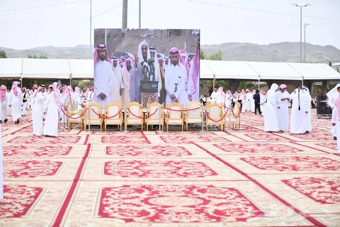 تأجير شاشات للفعاليات والمناسبات 11