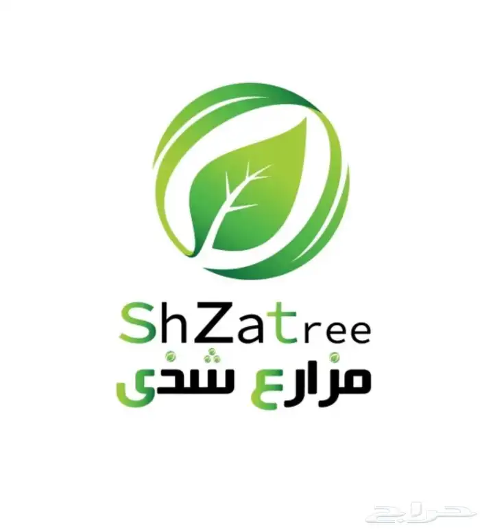 تين التركي وتين الاسباني الاصفر. ب5  وتوصيل للكميات 6