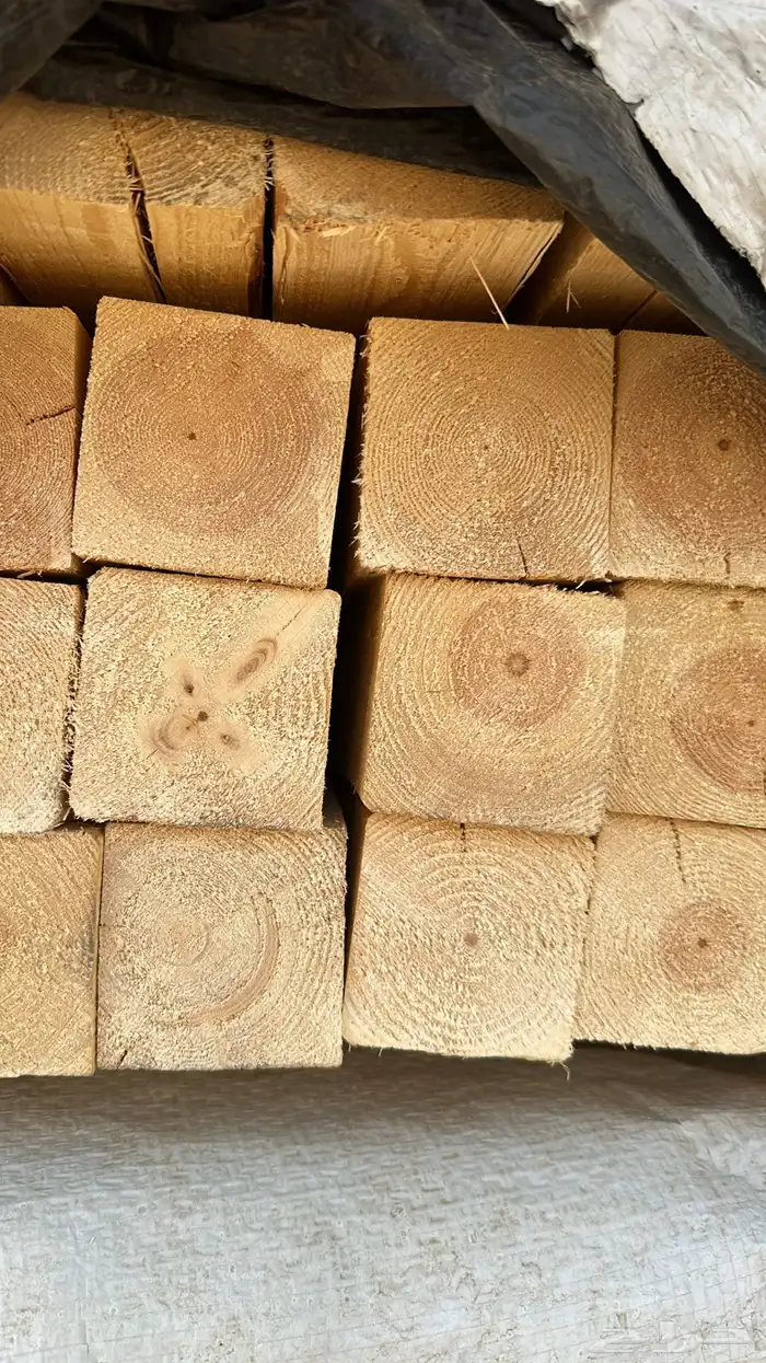 موسسه مريم لتاجير وبيع الاخشاب 12