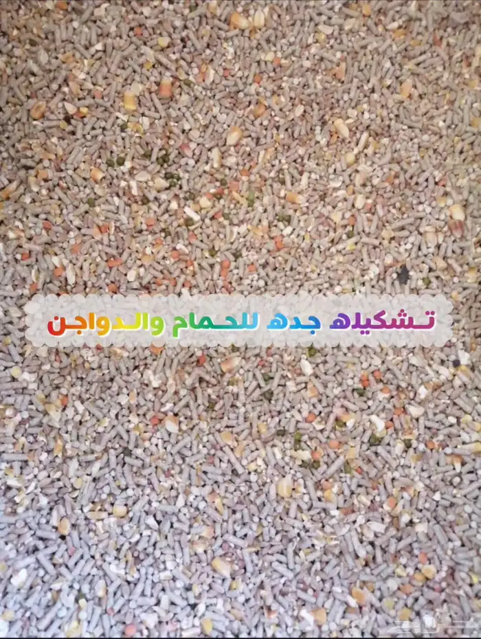 أعلاف دجاج وحمام و روز و كروان وبغبغاء وطيور حب 12