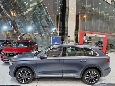 جيلى مونجارو 2024 كل الفئات اسعار مميزه 5