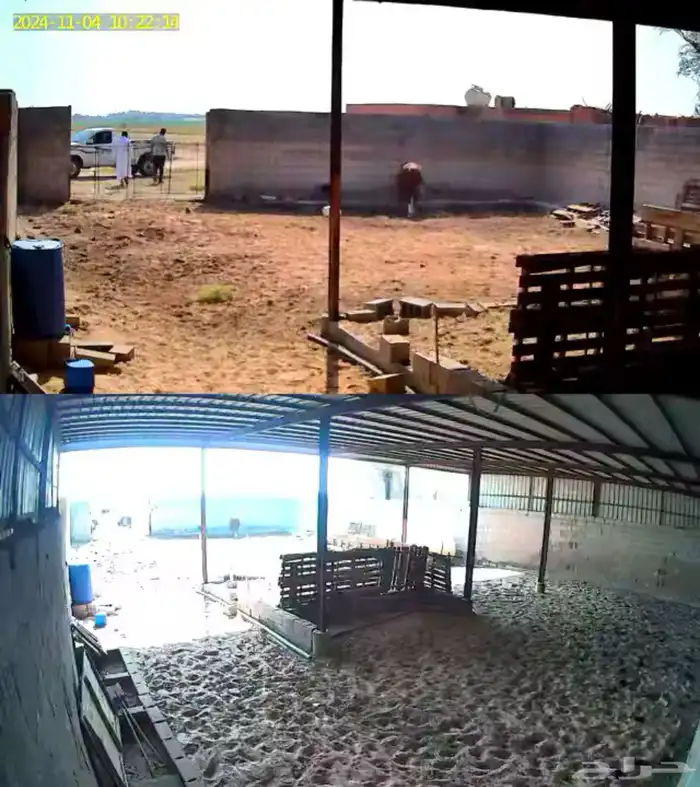 كمرات بعدستين 0