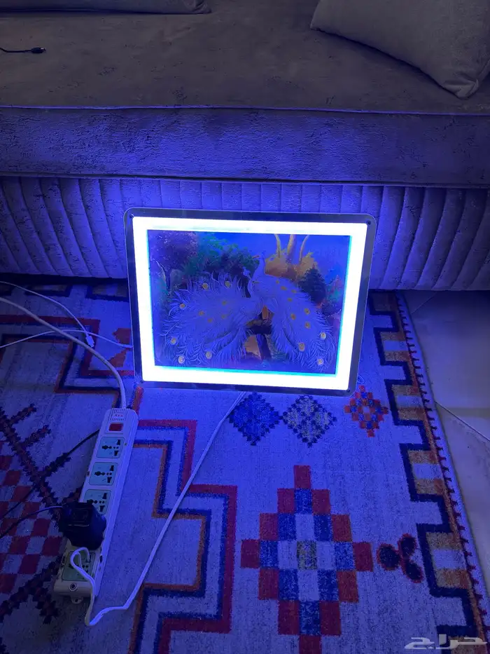 منظر طاووس بثلاث إضاءات 3