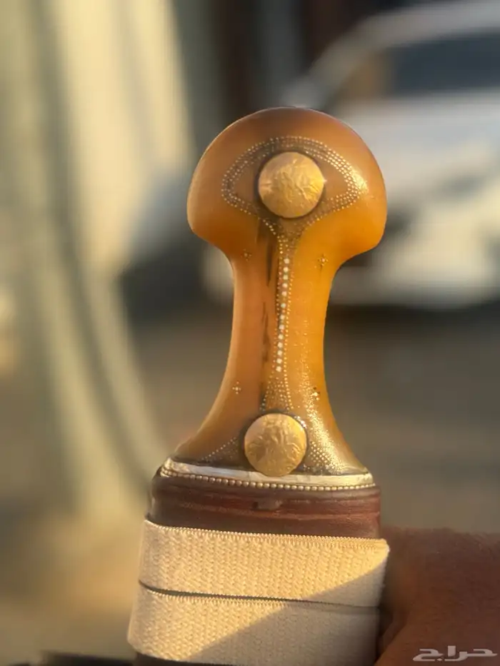جنبيه زراف 1