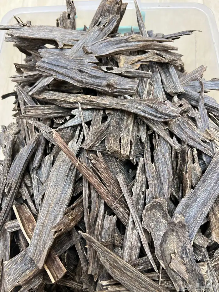 عود سيوفي هندي تصفية 0