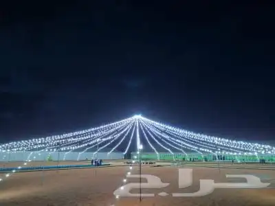 لمبات وعقود كويتي 3
