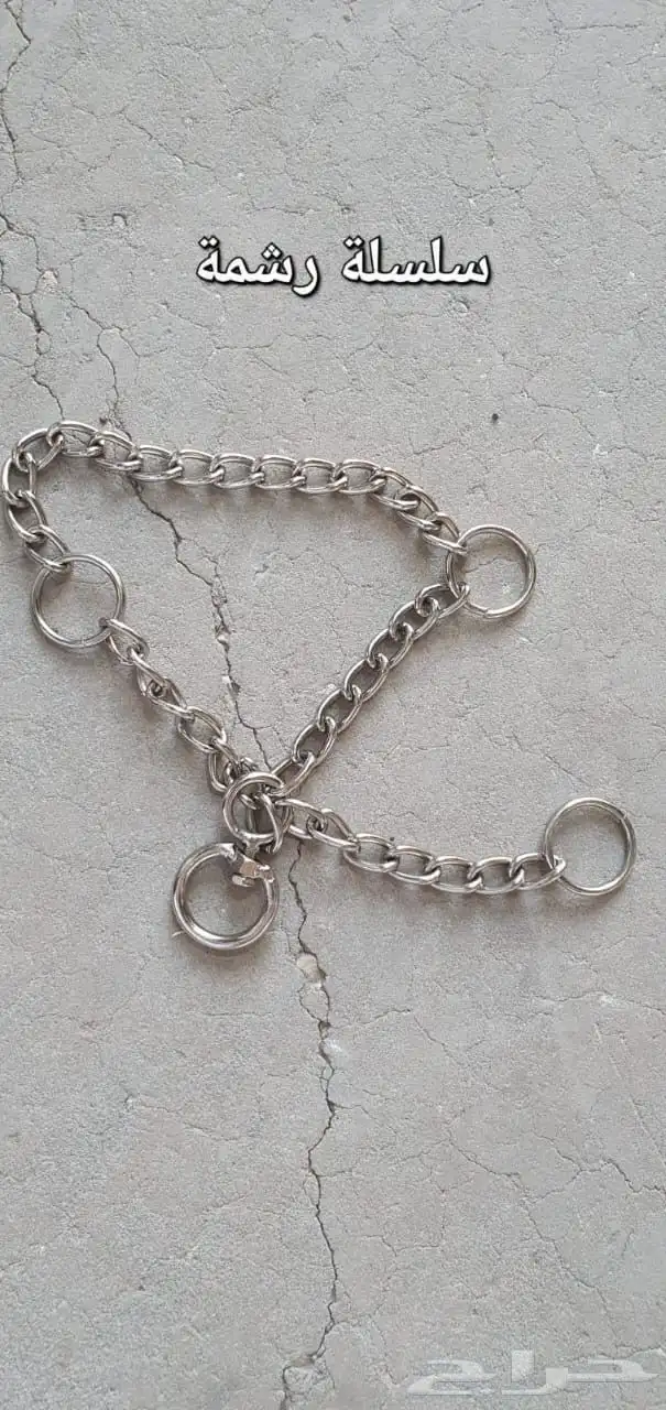جميع مستلزمات الخيل باسعار مغرية ومرضية 2