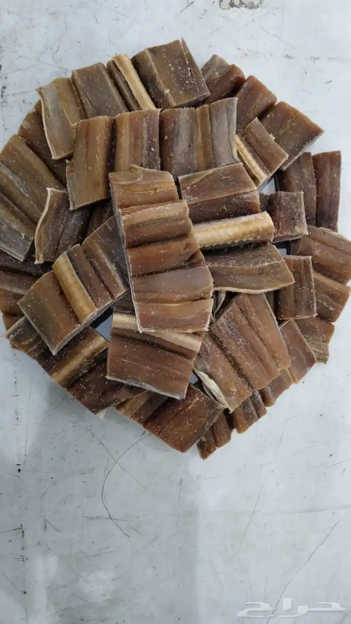 لخم قريني على الشرط 1
