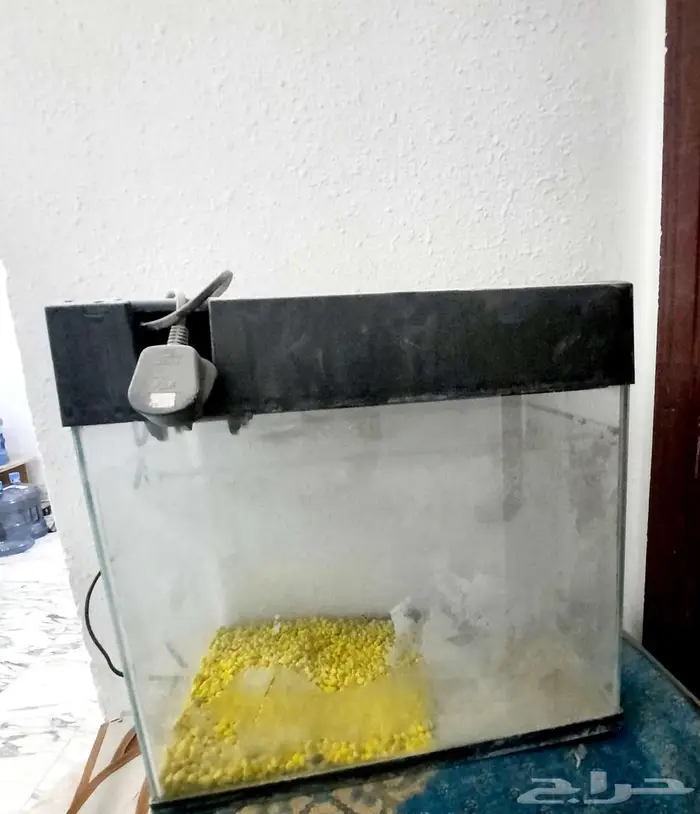 حوض سمك 0