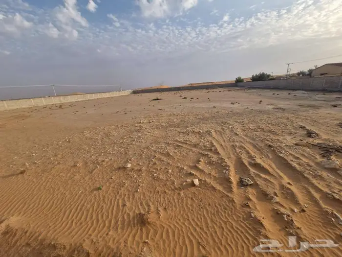 سور للايجار 0