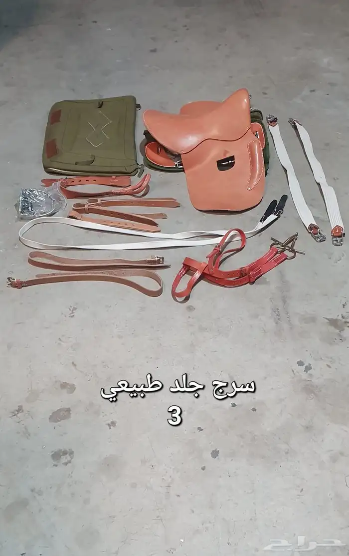جميع مستلزمات الخيل باسعار مغرية ومرضية 78