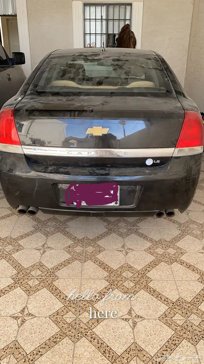كابرس 2008 سته سرندل 2