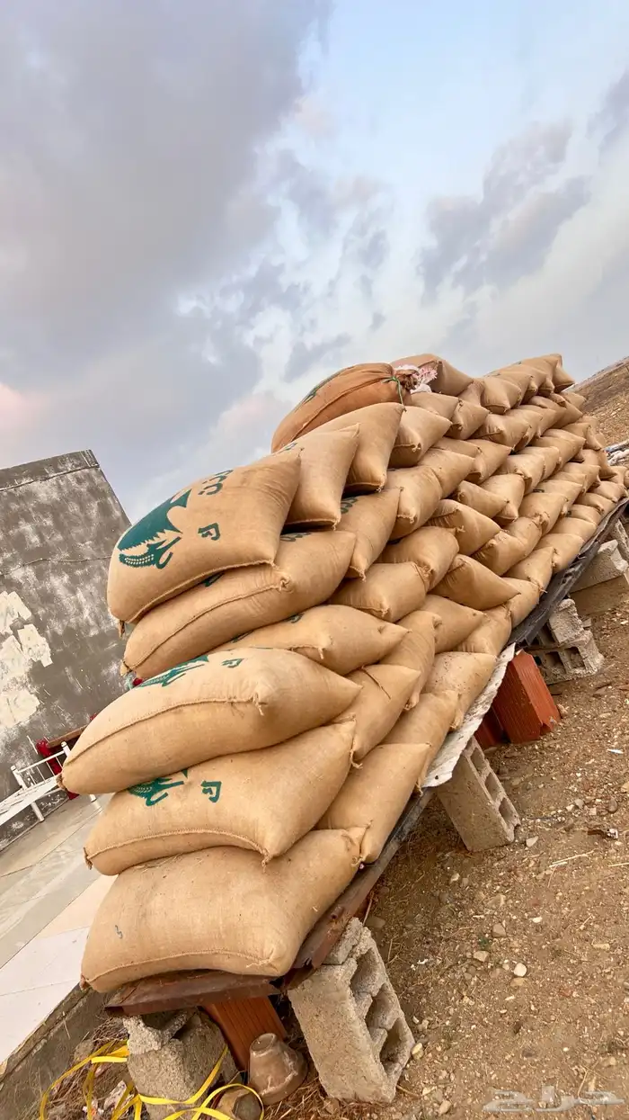قصب و حب احمر جديد للبيع في الدرب 5