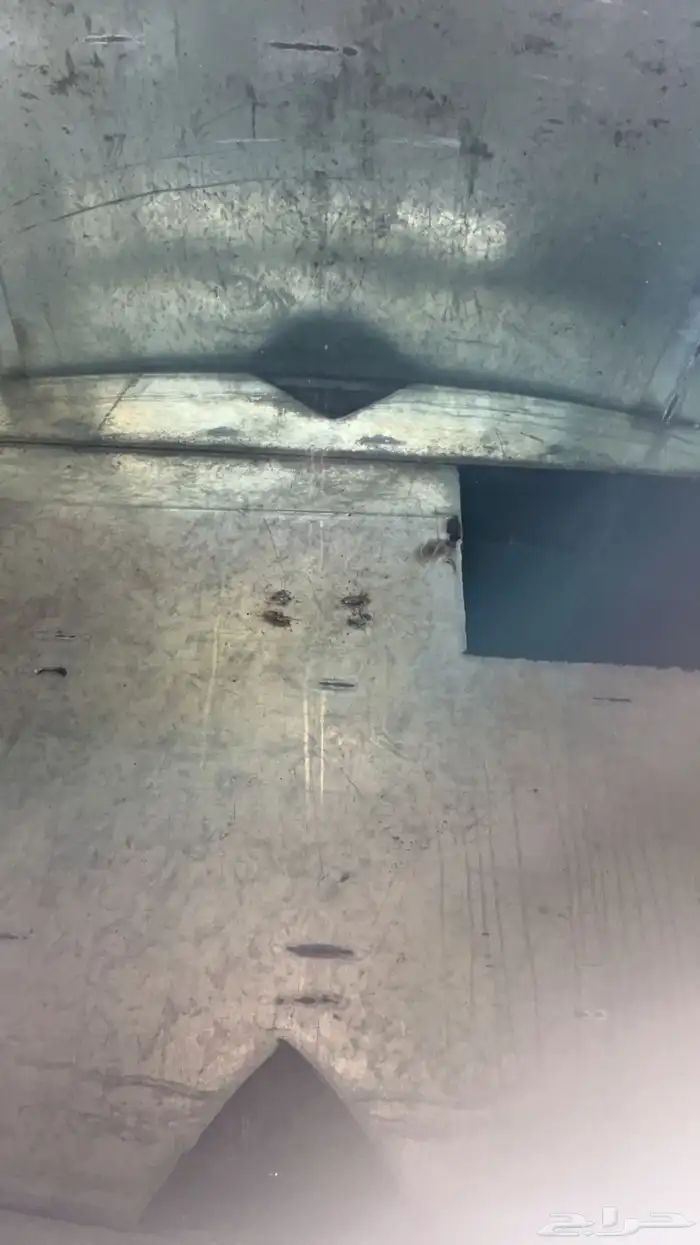 وايت البي عايدي 91 3