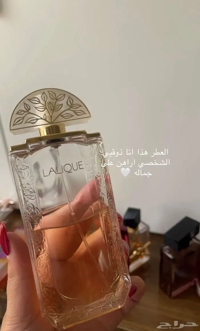 نوفر جميع براندات العطور بسعر الجمله 12