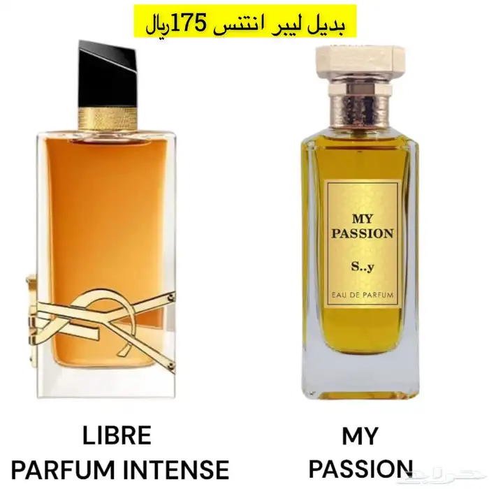 عطور المكافح السعودي 8