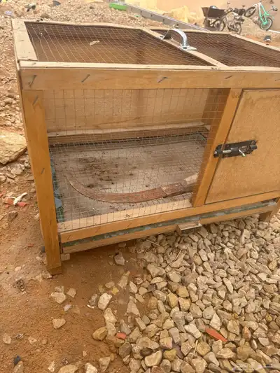 شبك طيور 0