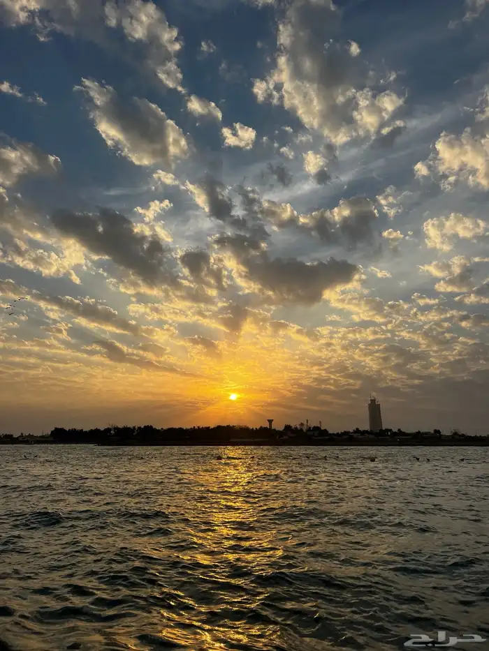 رحلات بحرية 17