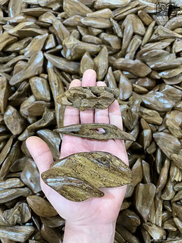 عود مروكي الكنق طبيعي محسن فاخر جمله 4
