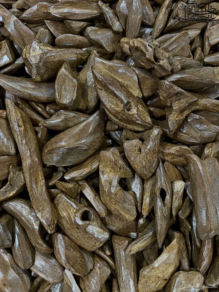عود مروكي الكنق طبيعي محسن فاخر جمله 2