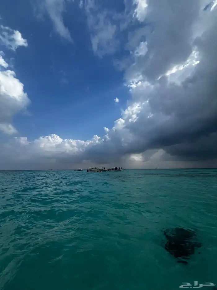 رحلات بحرية 16