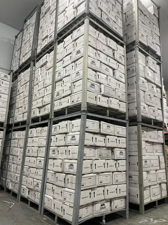 ذرة حلوة طازجة و مجمدة . كشك . بيت . مطاعم . سوبر ماركات . 8