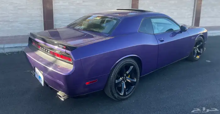 تم البيع تم البيع تم البيع 13