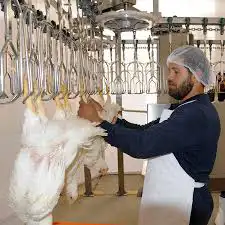 تصاريح دواجن لاحم و بياض 2