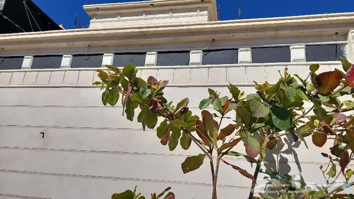 للبيع 4