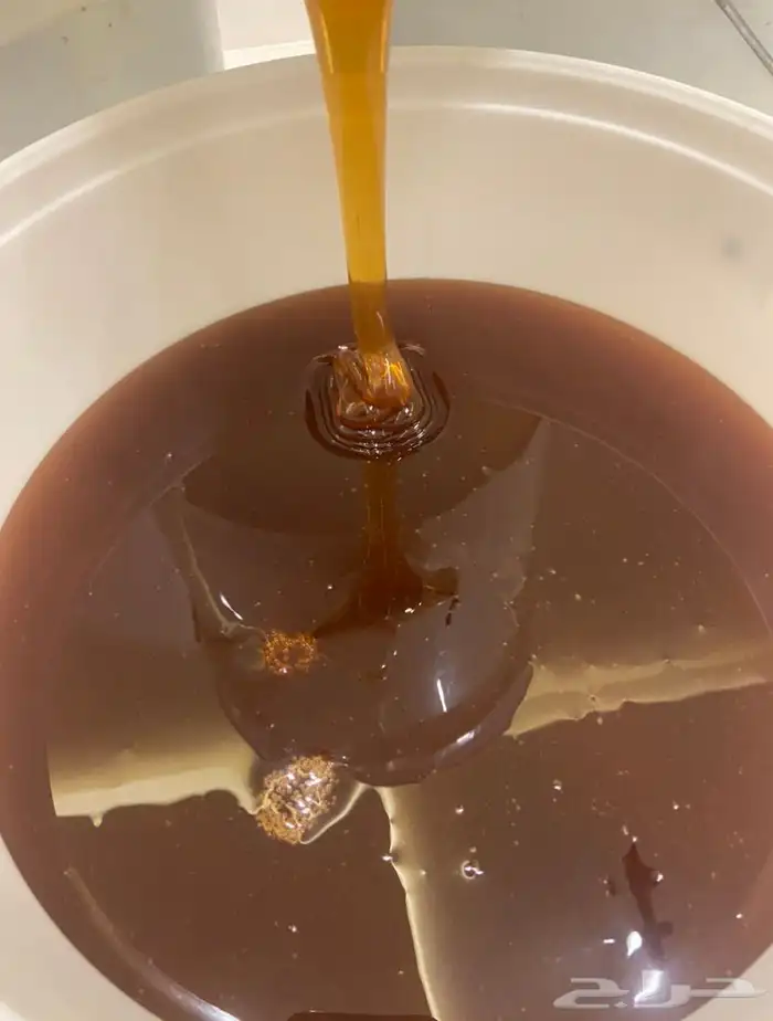 عسل طلح حائل جملة الجملة 0