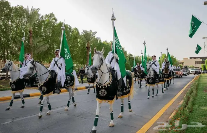 تنظيم مسيرات خيول جمال يوم التاسيس 0