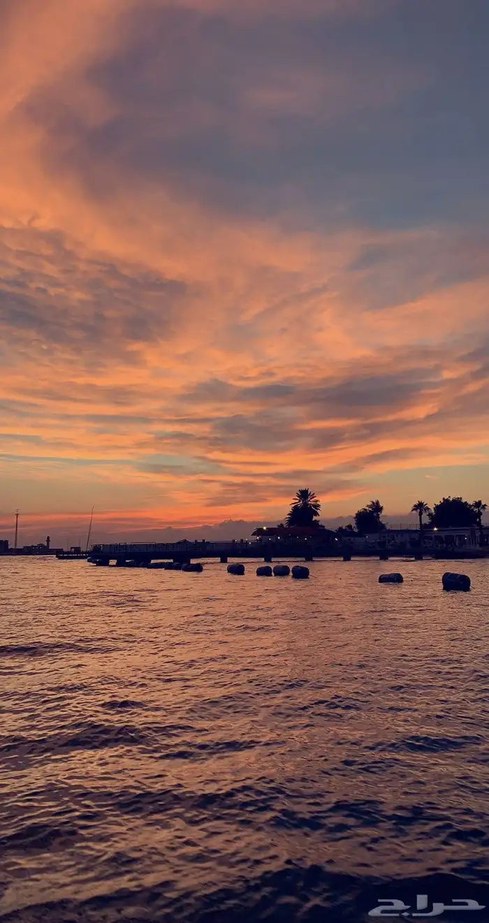 رحلات بحرية 10